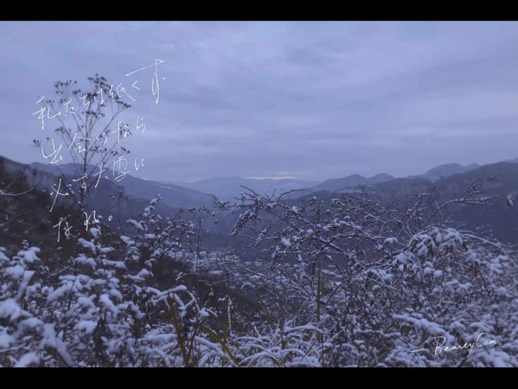 探秘真心爱一个人是怎么样的,解锁问题的答案宝藏