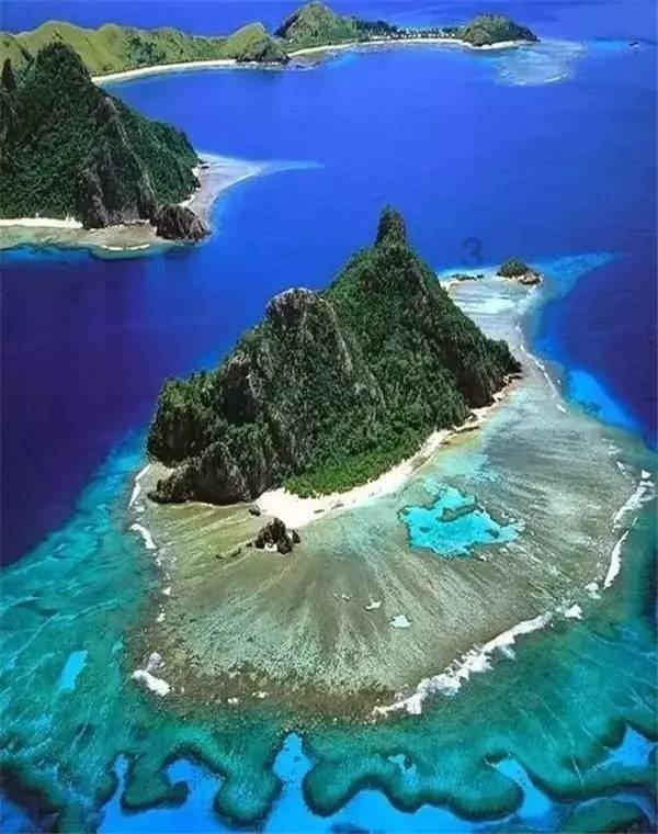 沪江开心词场