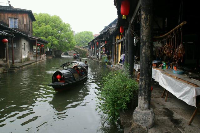 动物帮帮忙保卫家园
